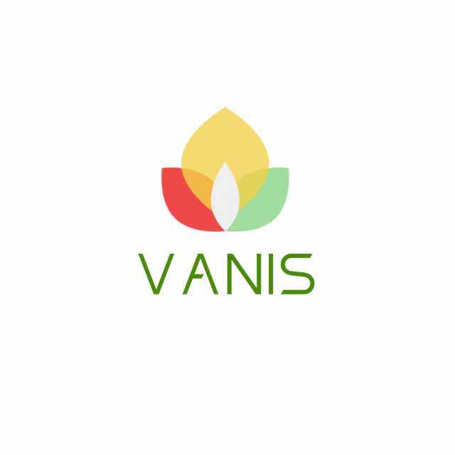 Vanis international business services